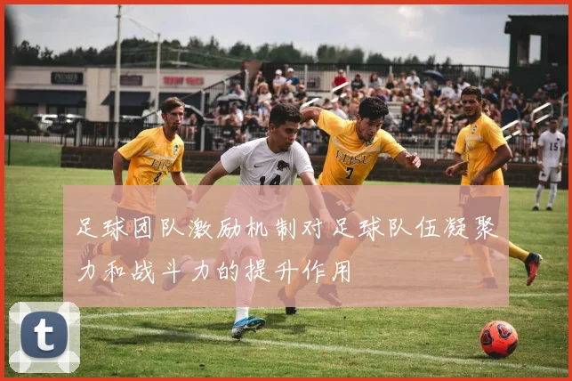足球团队激励机制对足球队伍凝聚力和战斗力的提升作用