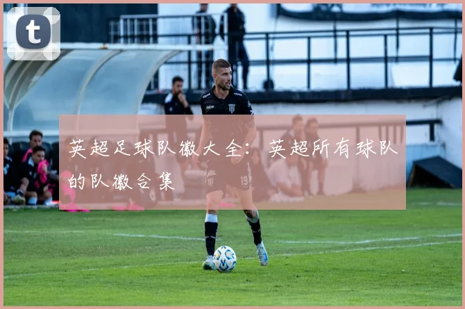 英超足球队徽大全：英超所有球队的队徽合集