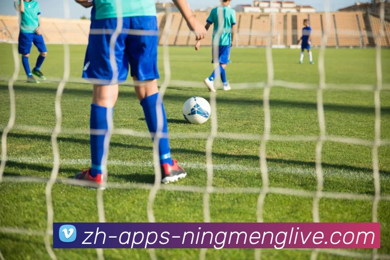 App Interface Preview