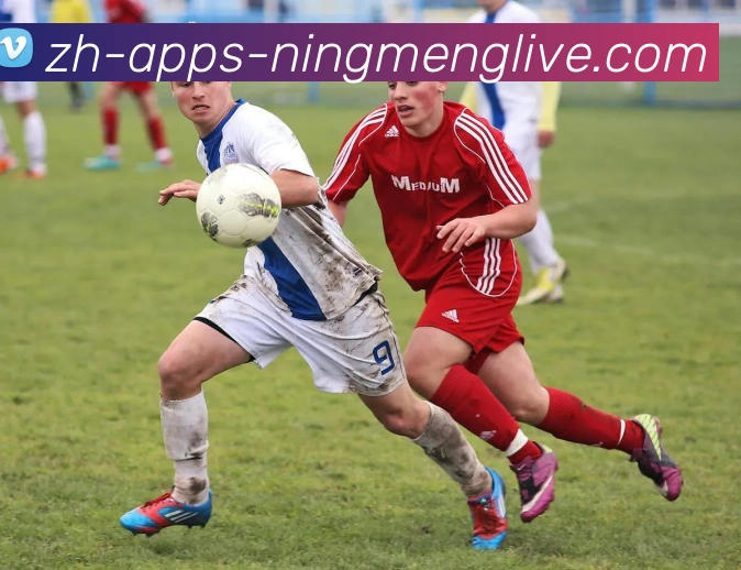 柠檬直播APP 封面图